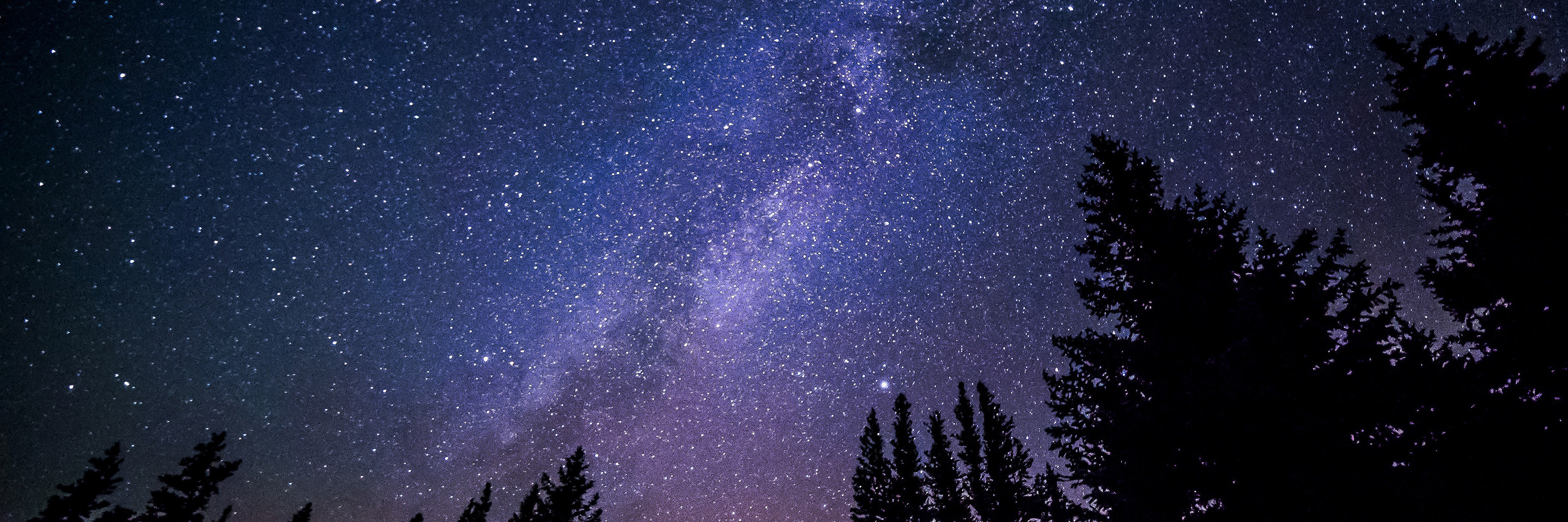 The night sky with bright stars 