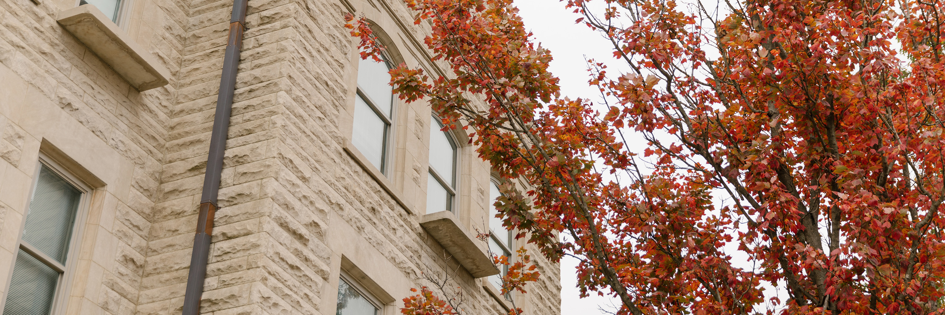 Red foliage brushing up against the side of a limestone building 