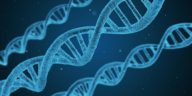 Three DNA helixes.