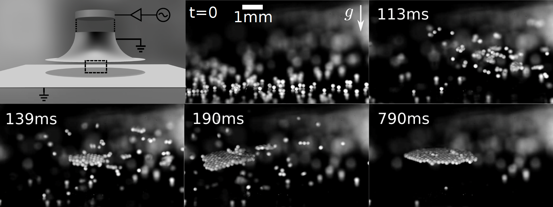 granular.png